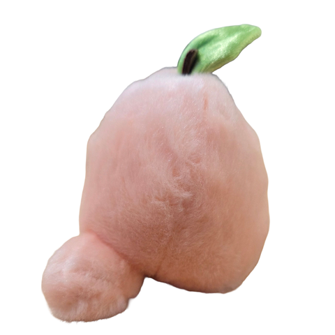 Lucy the Canned Peach