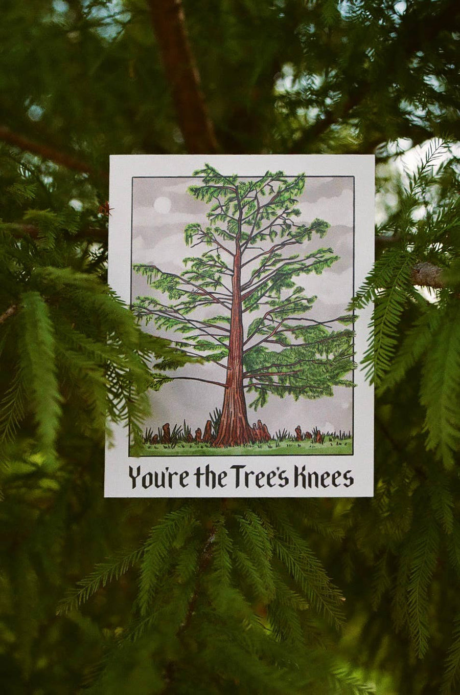 You're The Tree's Knees Card
