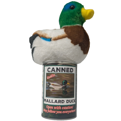 Waddles the Canned Mallard Duck