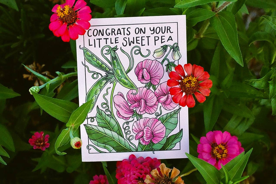 Congrats On Your Little Sweet Pea Card