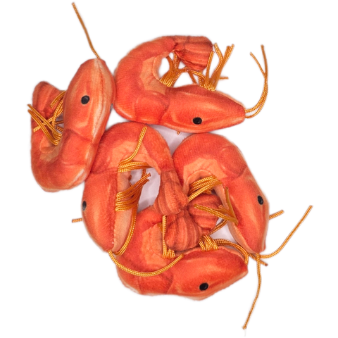 Can O' Shrimp