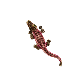 PINK & ROSE ALLIGATOR PIN