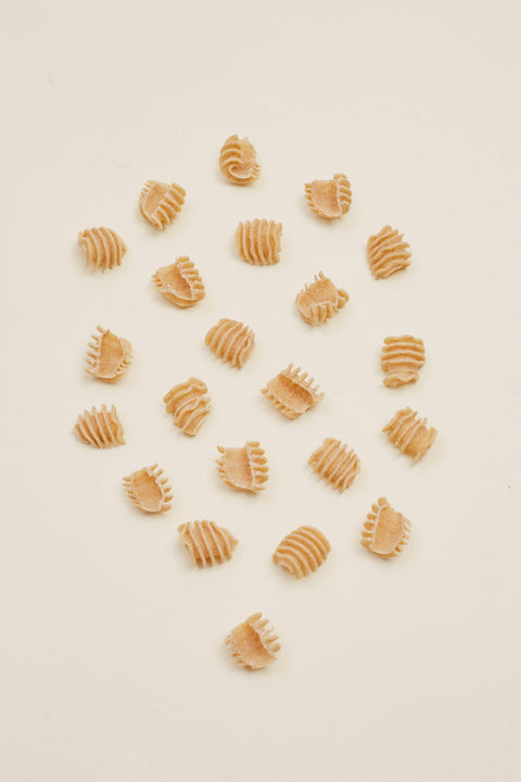 Regenerative Whole-Grain Radiatori - L'Isolina “Farmed for Flavor” Pasta