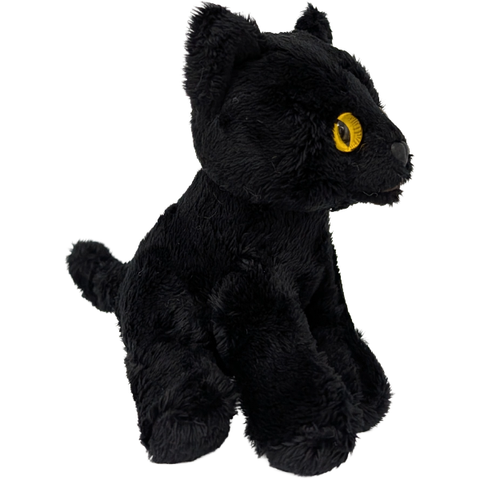 Salem the Canned Black Cat