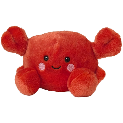 Sandy the Canned Crab